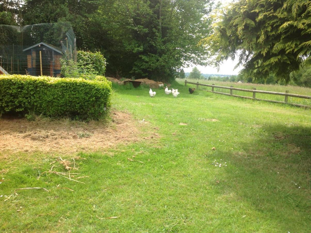 Buais-les-Monts La Ville - Les Petits Champs Bed & Breakfast エクステリア 写真