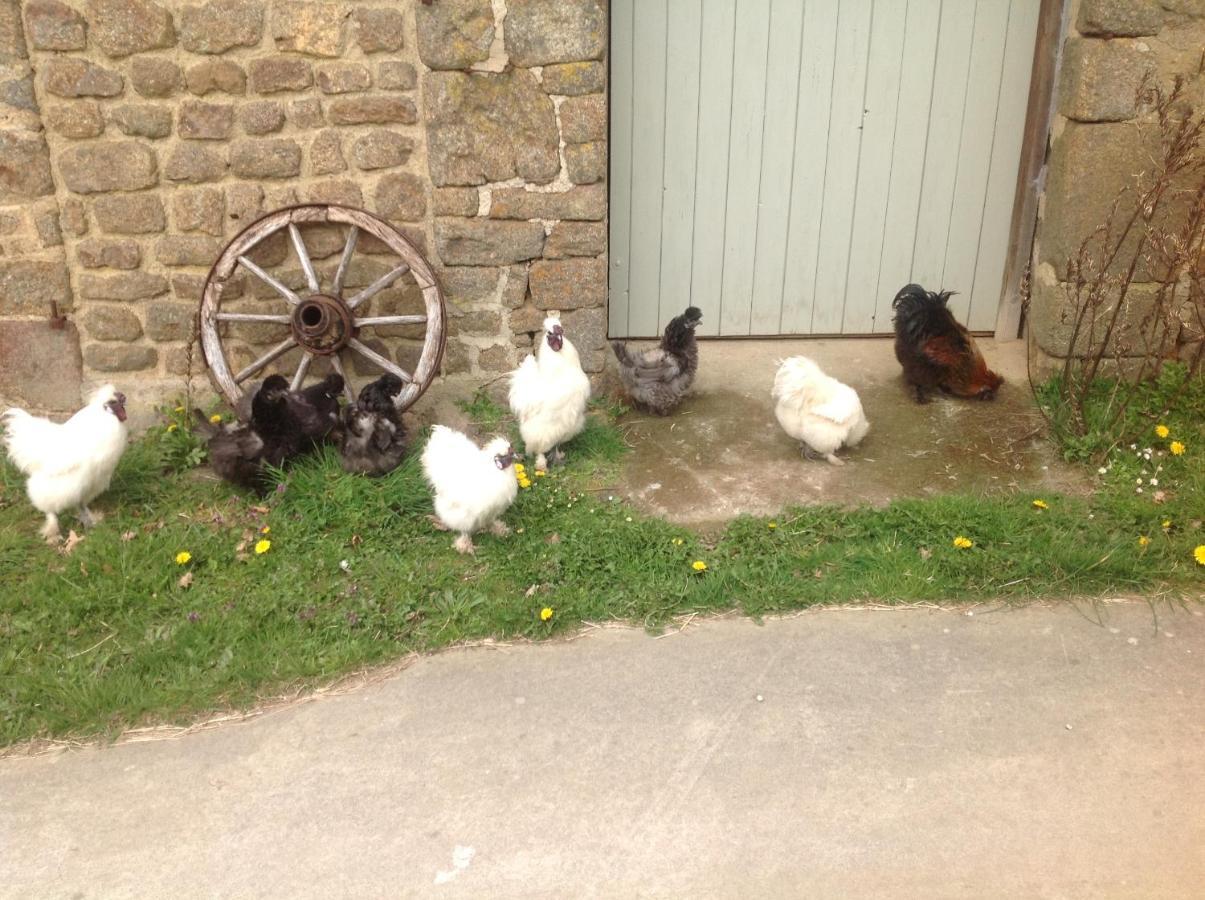 Buais-les-Monts La Ville - Les Petits Champs Bed & Breakfast エクステリア 写真