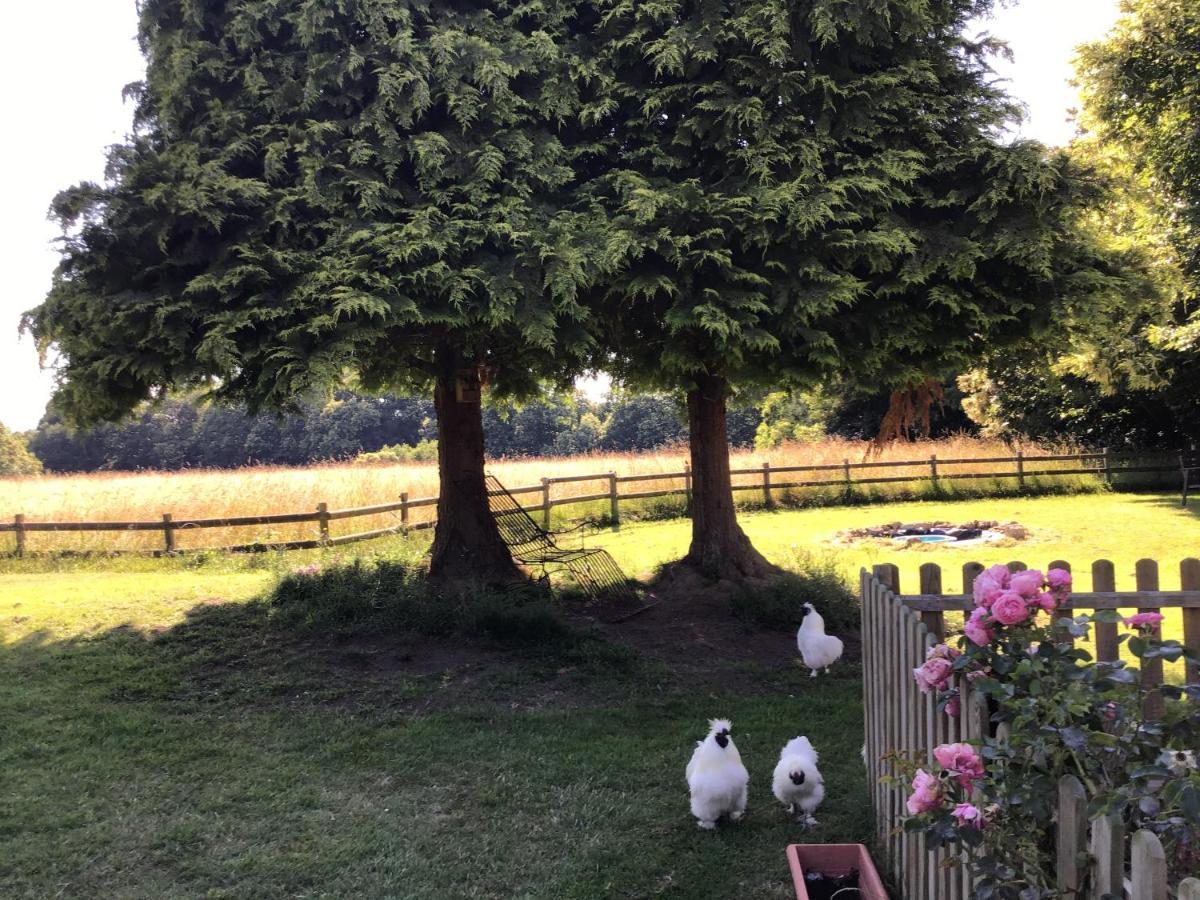 Buais-les-Monts La Ville - Les Petits Champs Bed & Breakfast エクステリア 写真