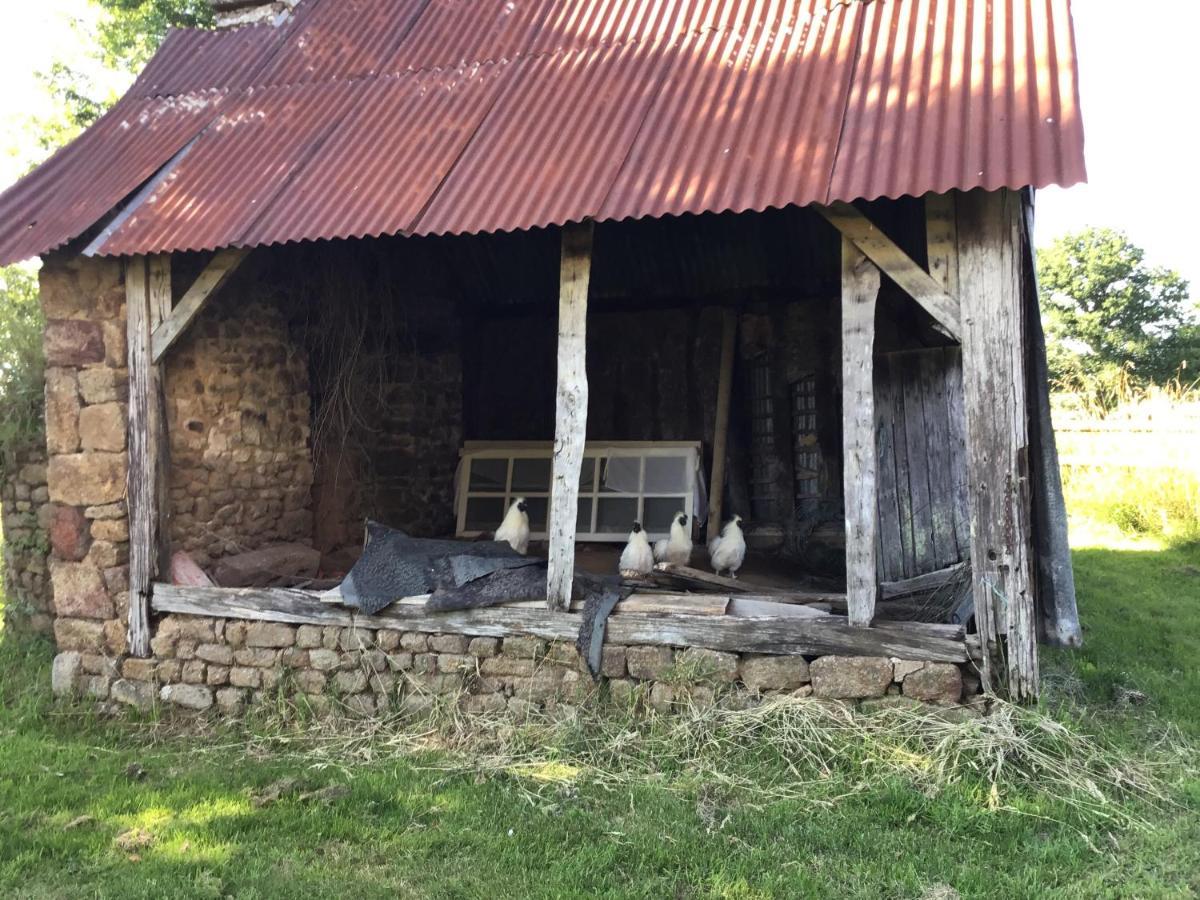 Buais-les-Monts La Ville - Les Petits Champs Bed & Breakfast エクステリア 写真
